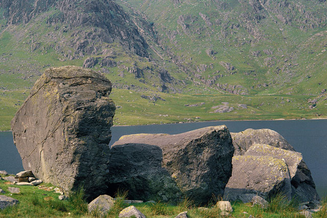 P006979_crop