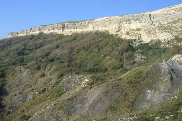 A landslide in grey cly covered with low bushes. A white chlk cliff in the background.