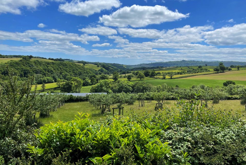 landscape-devon